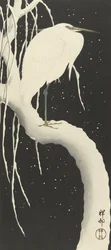 Reiher im Schnee, 1925-1936